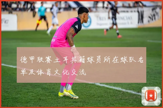 德甲联赛土耳其籍球员所在球队名单及体育文化交流